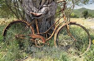 How I'm afraid the neighbors see the bike