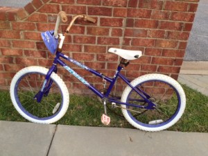My daughters' bike--about twelve years old. Many a happy mile has been ridden with this one.