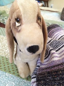 Bogart, many years after he entered my life, a little flatter but no less loved. He needed a little help standing up, so I used this blanket--another gift of comfort.