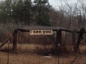 pic of i see you