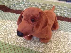 Buddy, posing for the camera. He's such a ham!