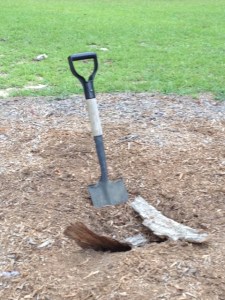 The shovel in our ground up tree stump pile.....that pool is really coming along!