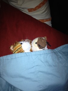 The Princess' "pet" kitties taking a nap, tucked in snugly under the blanket--Chica and Sugar Ray Jr. 