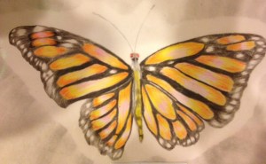 Mac's butterfly.  We were so hoping for his own transformation, leaving behind his old life.