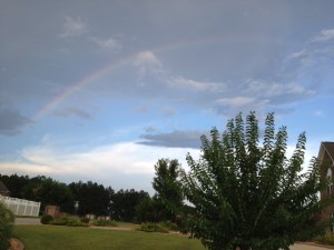 I kind of have the feeling this was my Mama's way of letting me know she's around