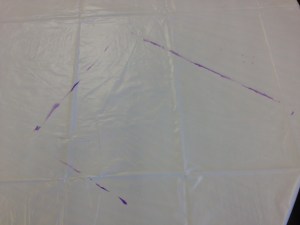 What was left around where she created her work of art