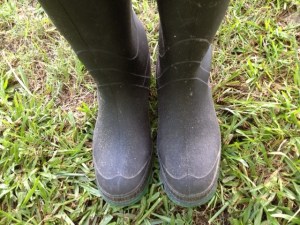 I was rockin' the garden boots, right?