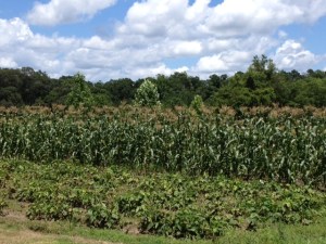 My destination today