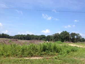 pic of devastation on HM Road