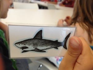 Cooter drew a shark in the Habitat game.  He grinned really big and gave me a thumbs up.  He knew where to put this one.  