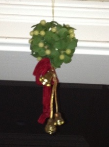 Oh ho, the mistletoe, hung where you can see.....