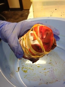 Shaker's pillowcase project.....he was really getting into it by the time he was working on the second one. 