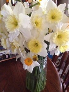 Is there anything prettier than daffodils in a Mason jar?  Not today there's not.  My Aunt let us come gather some to bless the shower with.  And aren't they lovely?