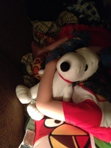 Shaker's best buddy is spending the night too.  Sweet dreams to all.  