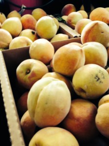 We went to our favorite farmer's market and got our Elbertas.  Our yearly trip.....a good day.  