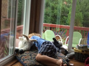 My little guy curled up with Maemae's goat, staring out at the rainy day.  