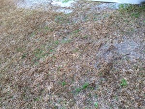 Rain, rain, and more rain