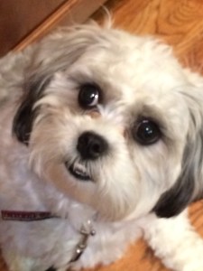 Miss Sophie--"hopeful"