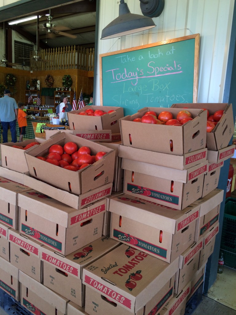 Tomatoes. For all kinds of good things.
