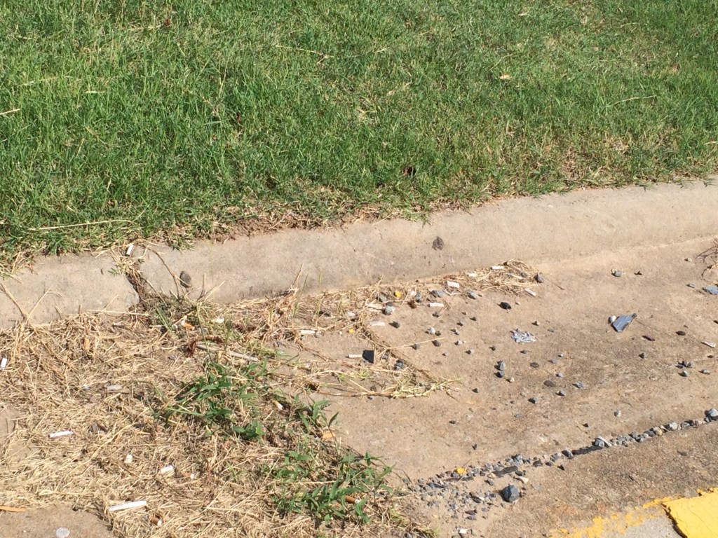 The tiny ants were crawling all over the pavement and back into their nest in the grass.  