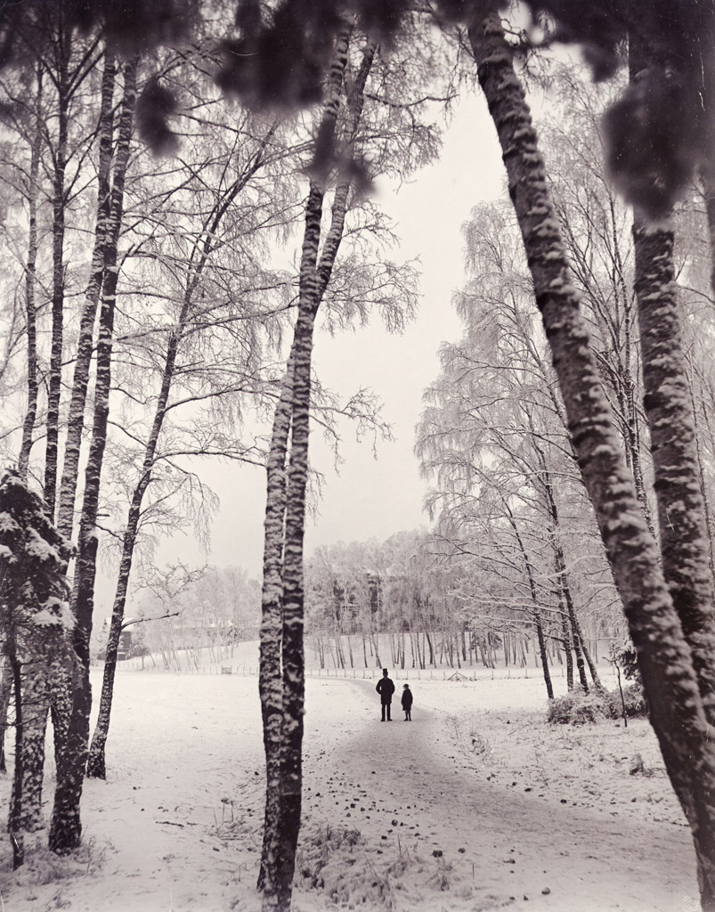 Thankful for Aub's godfather who helps guide her on her path.   (A walk in wintry woods, Stockholm, Sweden) via Wikimedia Commons