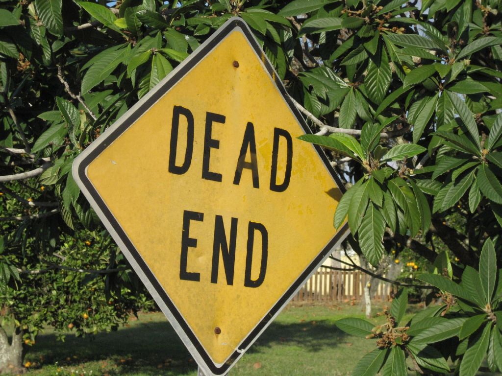 By Marcus Quigmire from Florida, USA (Dead End  Uploaded by Princess Mérida) [CC BY 2.0 (http://creativecommons.org/licenses/by/2.0)], via Wikimedia Commons