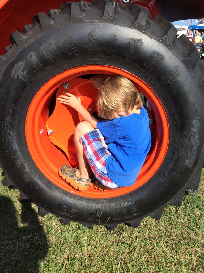 Cooter in a tractor wheel? Yeah, sure.  Why not?   