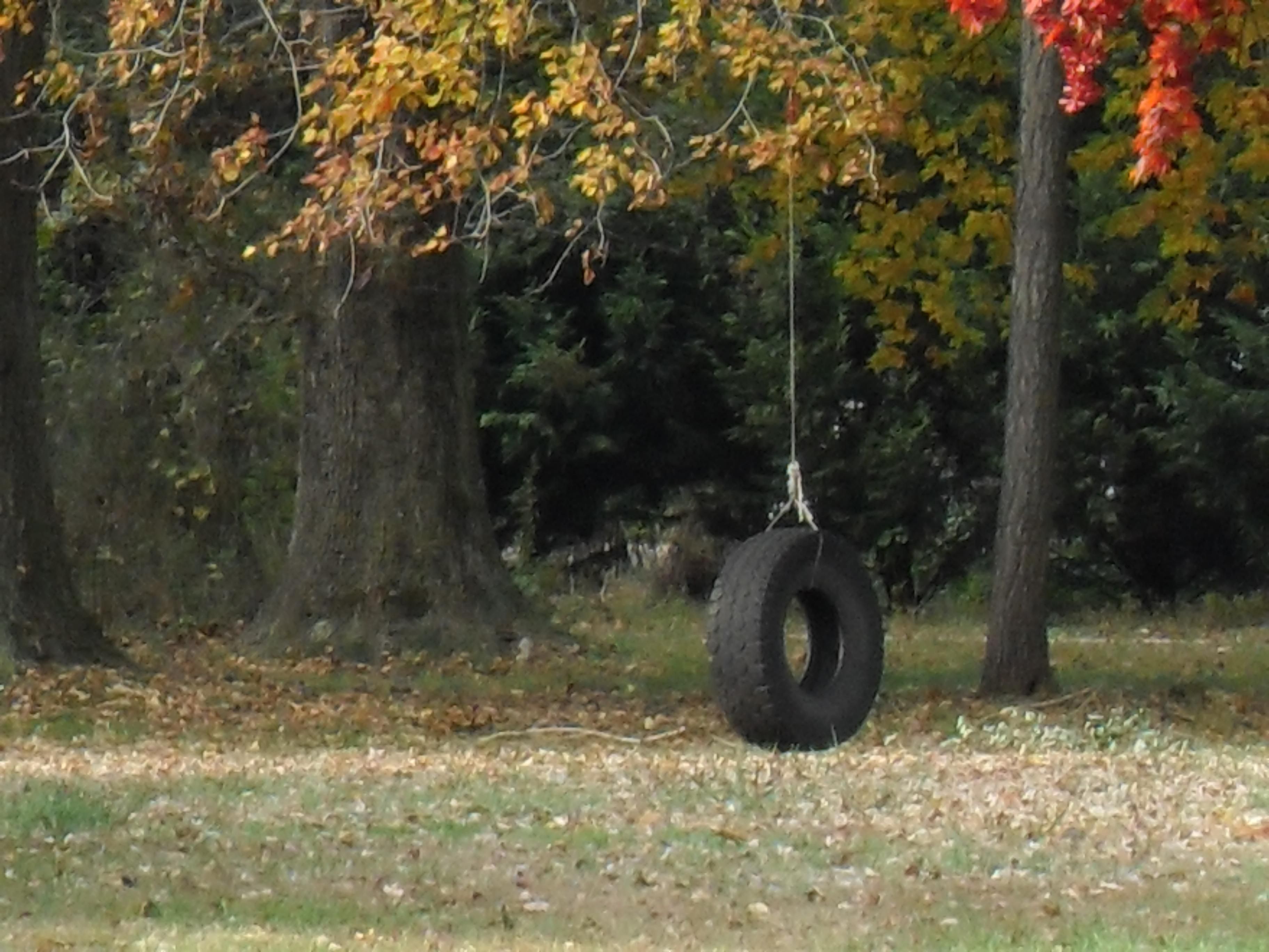 Tire_swing